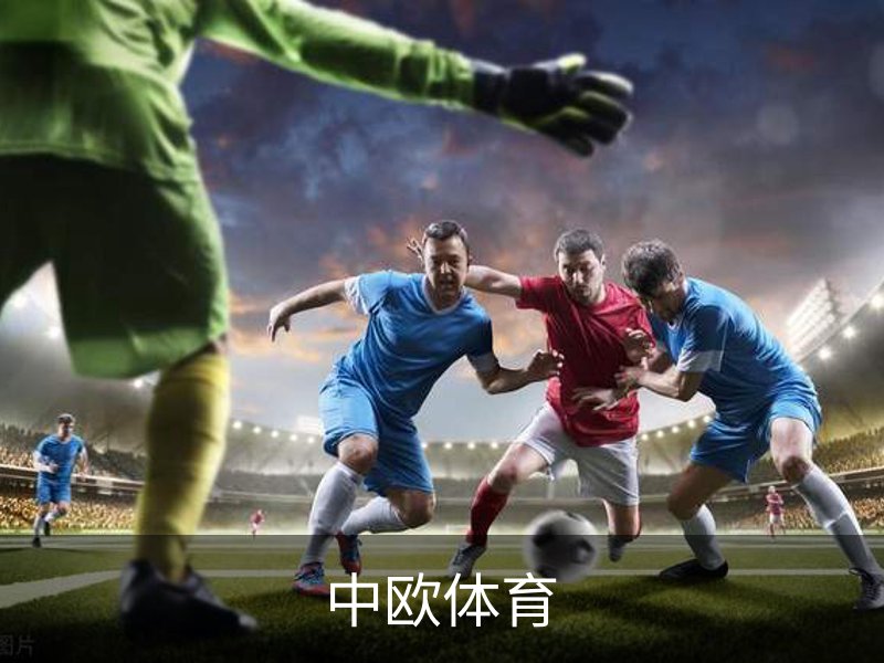 企业简介
