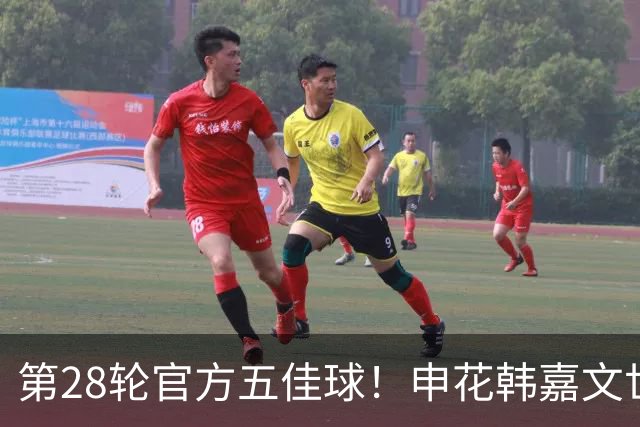 第28轮官方五佳球！申花韩嘉文世界波第3 海港莱昂纳多吊射是第一